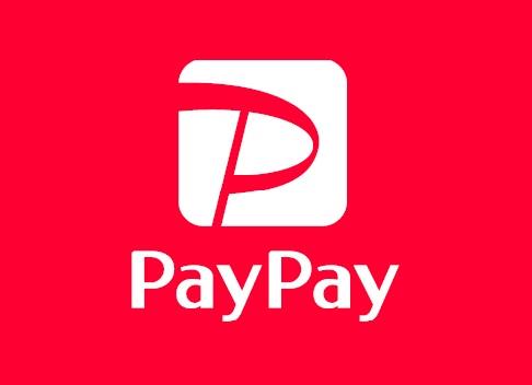 PayPay logo image